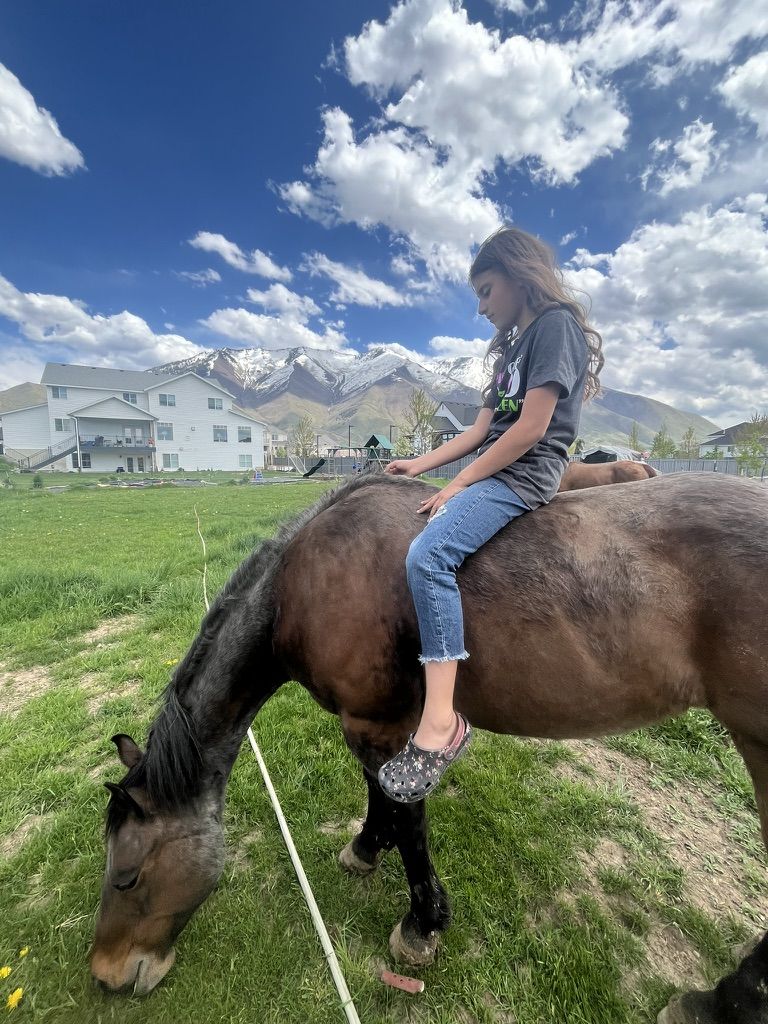 Pasture Horse