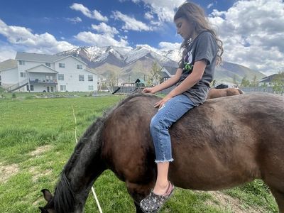 Pasture Horse