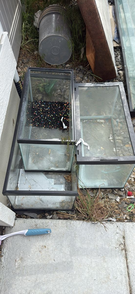 Glass Aquariums / Terrariums - Various Sizes, Used Condition