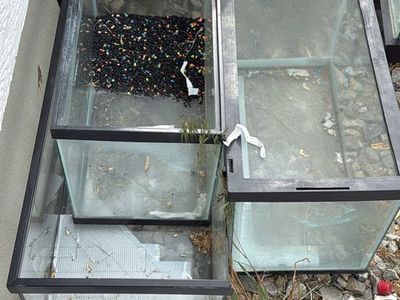 Glass Aquariums / Terrariums - Various Sizes, Used Condition