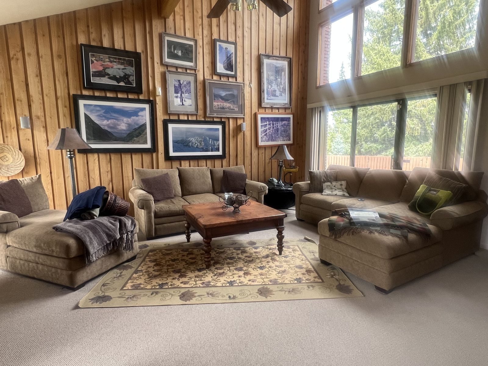 Living room/den furniture