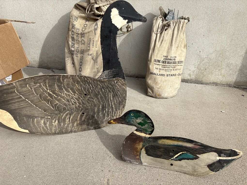 Antique Goose And Duck Decoys