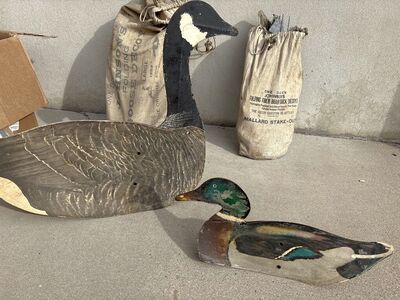 Antique Goose And Duck Decoys