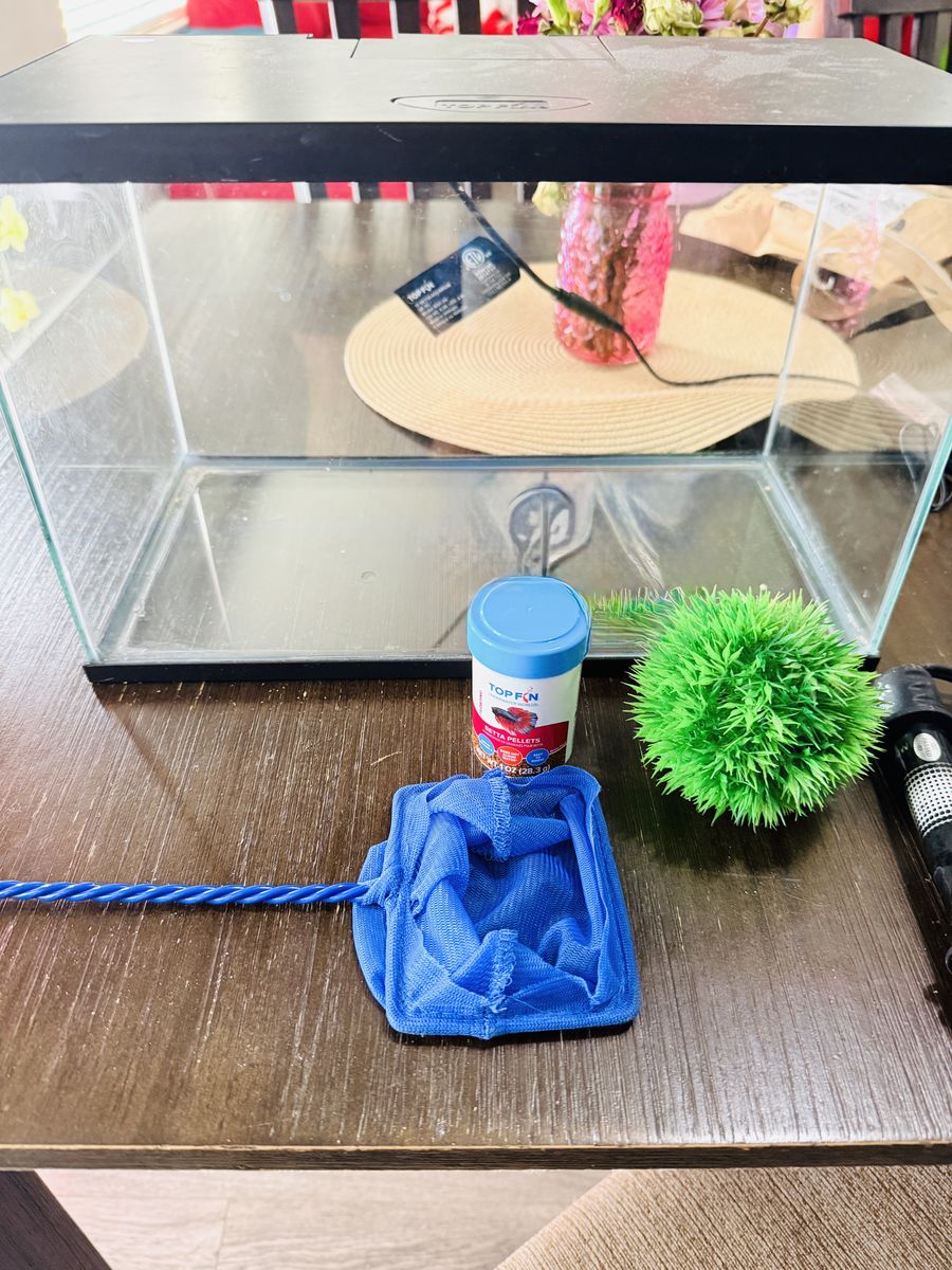 4-Gallon Glass Fish Tank Setup