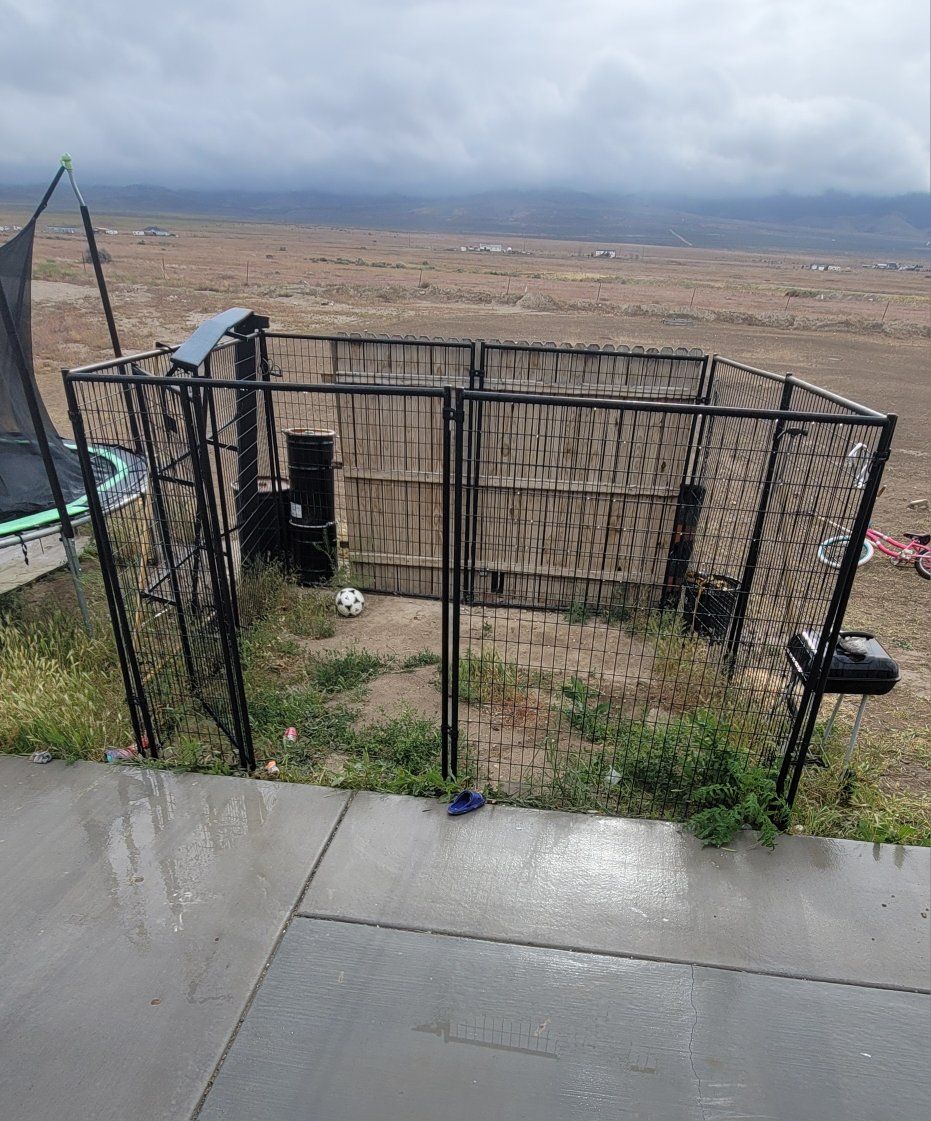 Lucky Dog 6 ft. x 10 ft. x 10 ft. Modular Welded Wire Dog Kennel Black