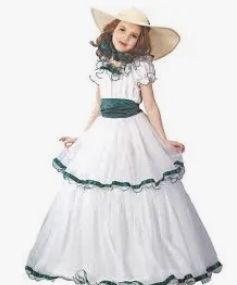 Southern Belle Halloween Costume  Dress & Hat