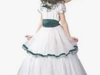 Southern Belle Halloween Costume Dress & Hat