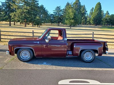 1977 Chevrolet C/K 10 Series