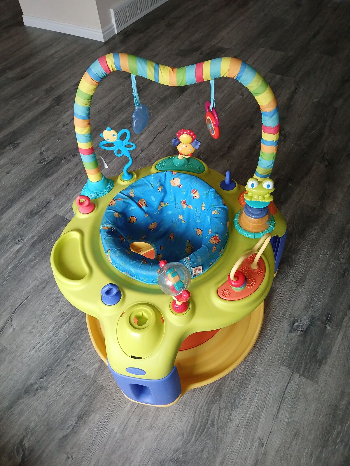 ExerSaucer