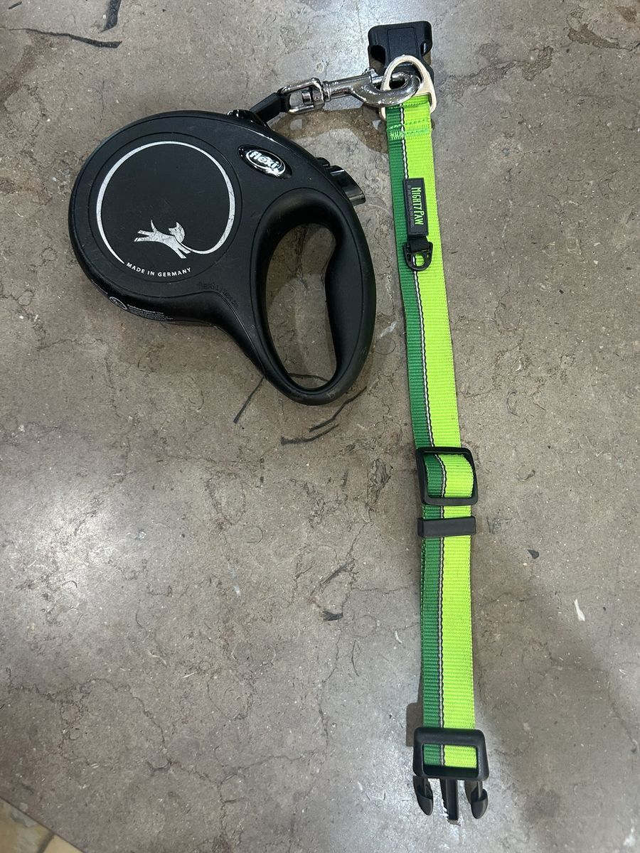 Dog Leash & collarDog Leash & collar Mighty Paw collar hooked to Flexi retractable leash