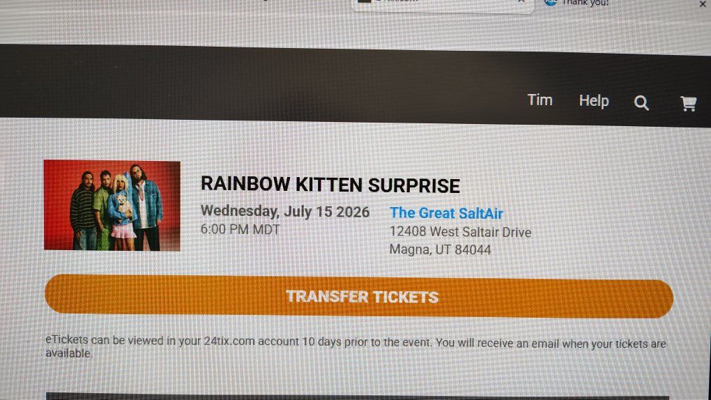 Rainbow Kitten Surprise VIP