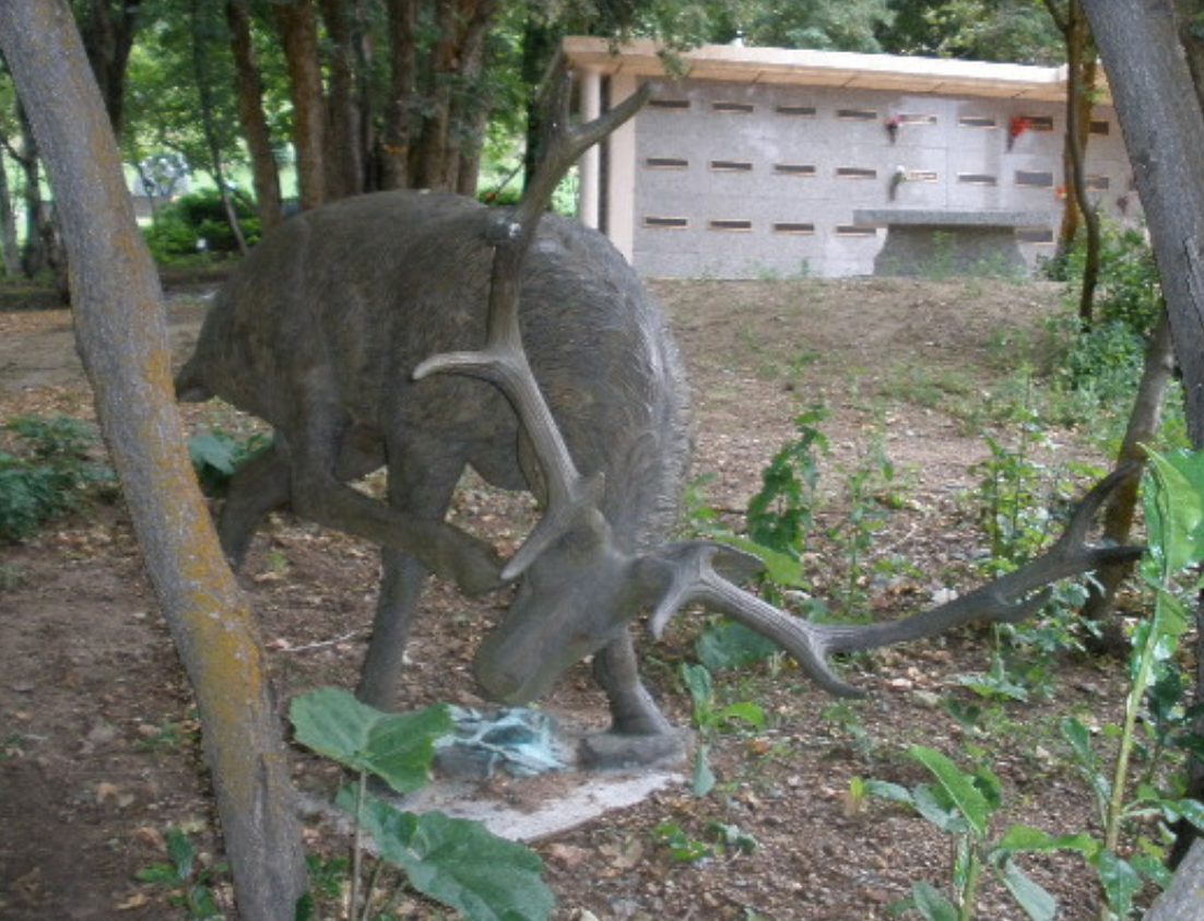 Green Burial Plot