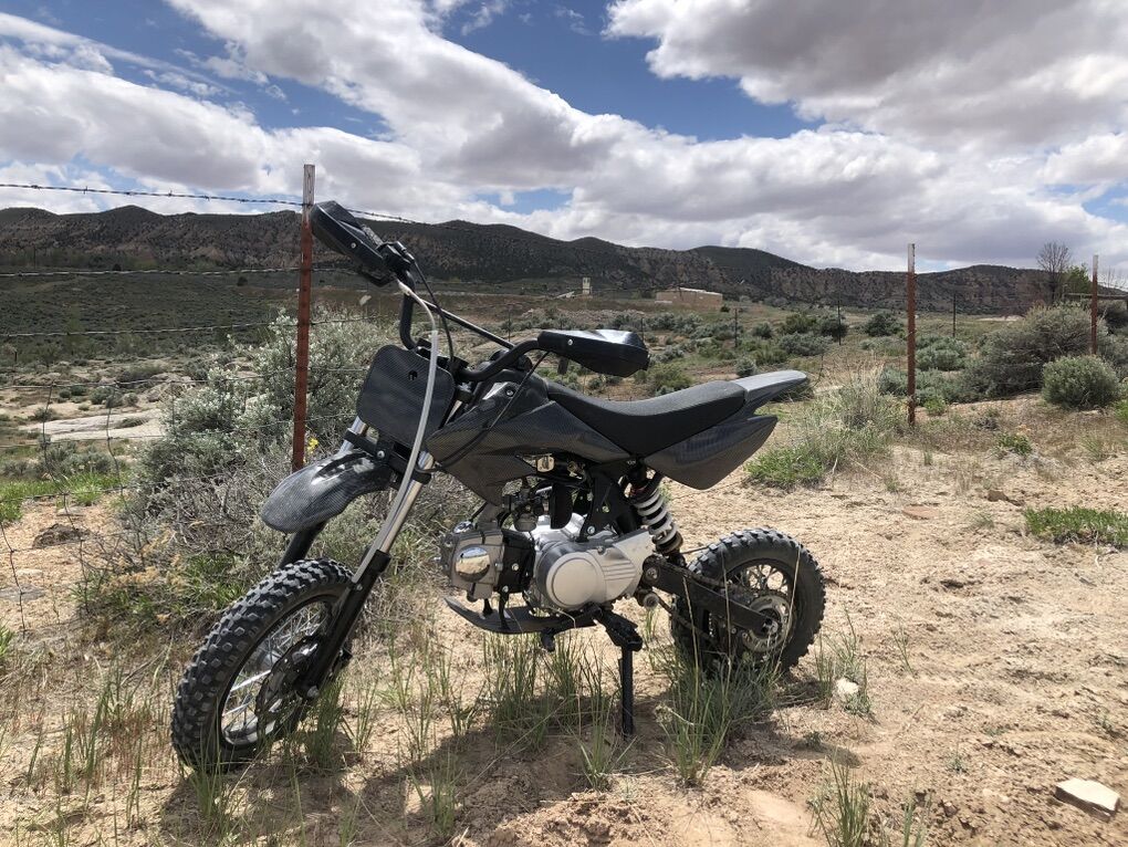 2021 SSR 110 cc