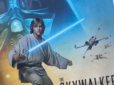 Star Wars The Skywalker Saga (Hardcover)