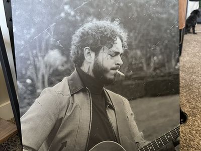 Post Malone Displate
