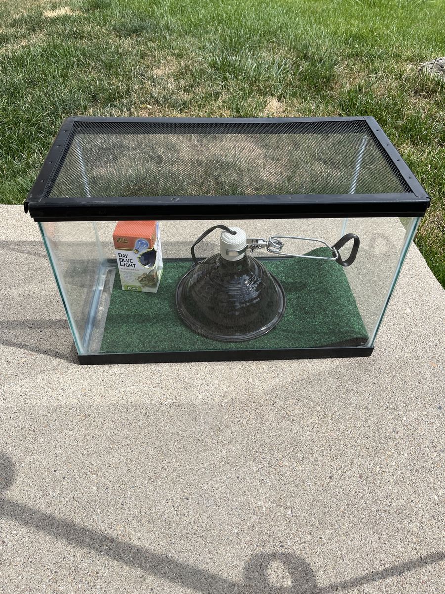 10-Gallon Terrarium with Screen Top