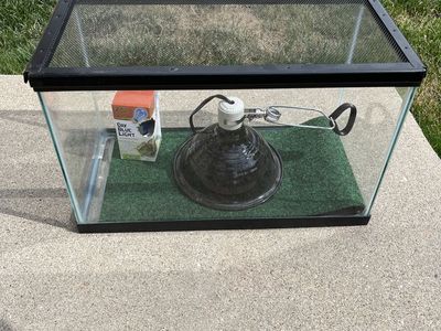 10-Gallon Terrarium with Screen Top