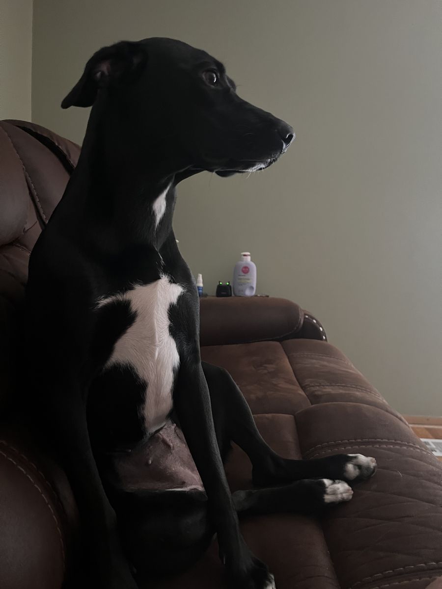 Hi my name is Daisy Mae