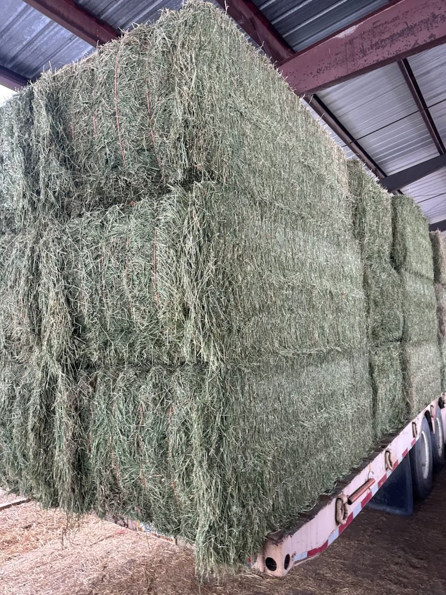 3 SEMI LOADS AVAILABLE!