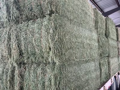 3 SEMI LOADS AVAILABLE!