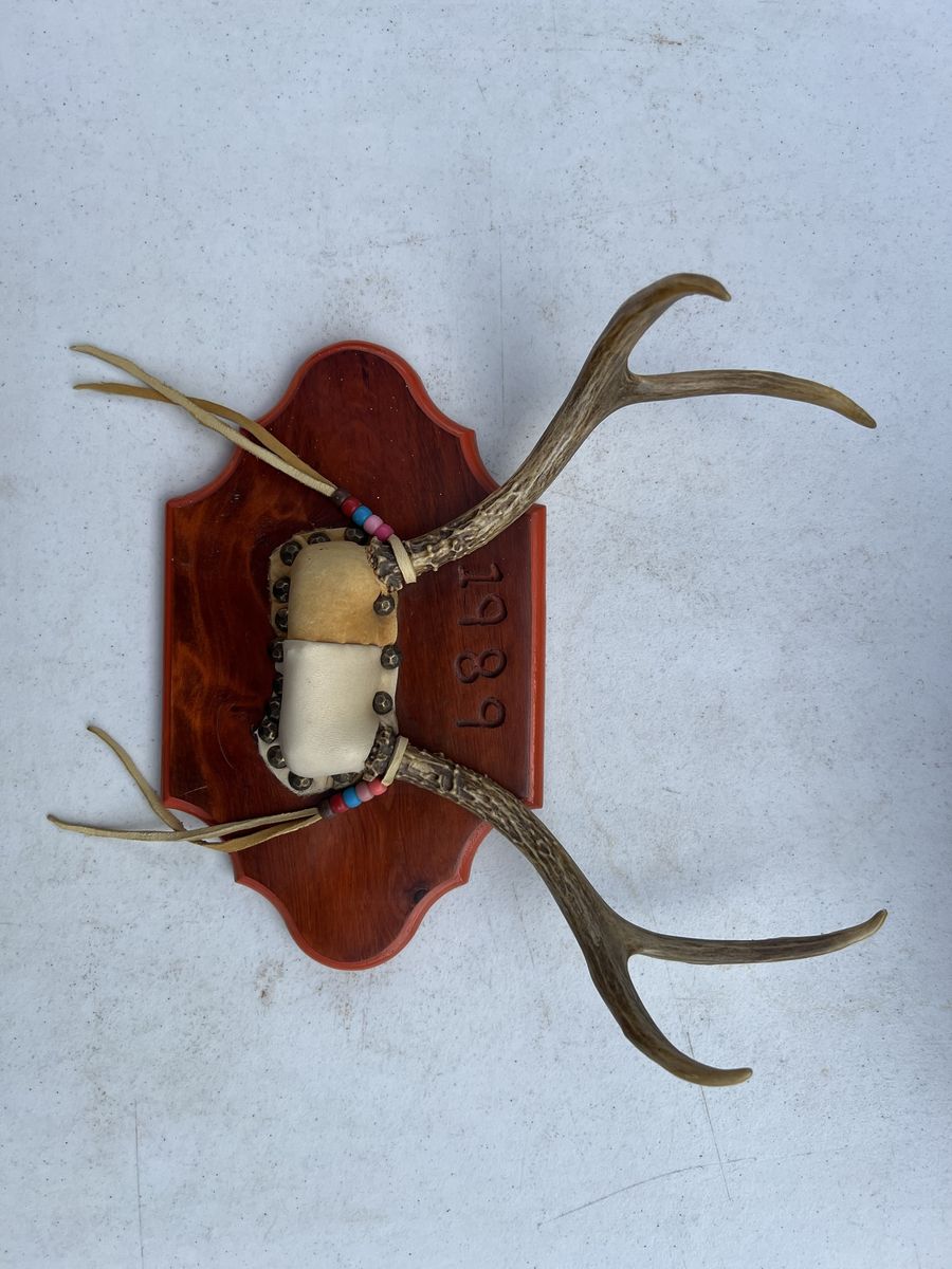 Vintage 1989 Mounted Deer Antlers on Wooden Plaque with Leather and Beads