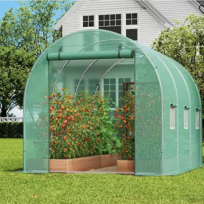 Walk-in Tunnel Greenhouse, 9.6 x 6.4 x 6.2 ft. Hoop House Greenhouse Tunnel