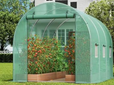 Walk-in Tunnel Greenhouse, 9.6 x 6.4 x 6.2 ft. Hoop House Greenhouse Tunnel