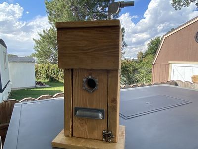 Bird house