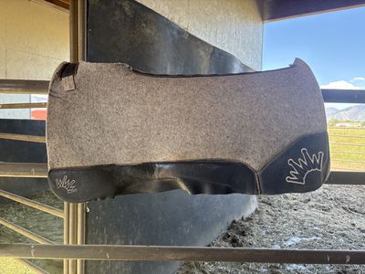 Best Ever Saddle Pad