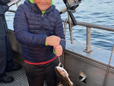 Alaskan Halibut - Fresh Caught, Flash Frozen