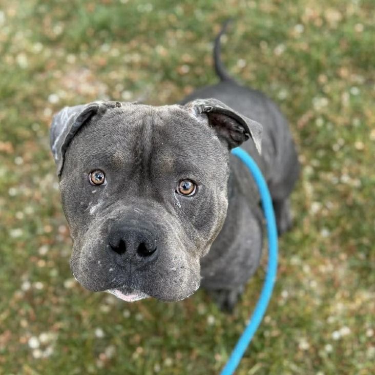 Hello my name is Sherman