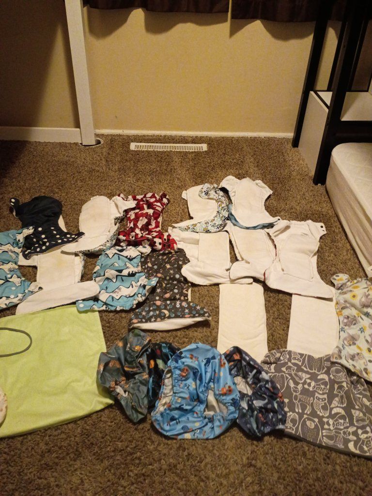 Reusable Cloth Diapers Lot with Inserts and Wet Bags