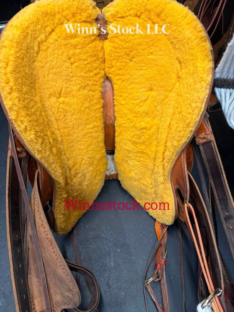 Main image 13
