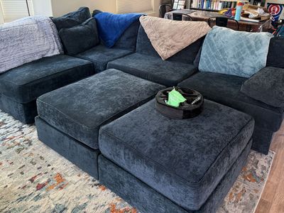 Love Sac Sectional Couch For Sale