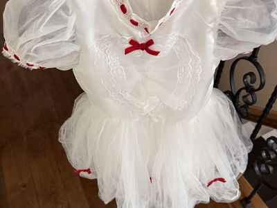 Trish Scully brand Mary Poppins costume size 12 runs small does have damage