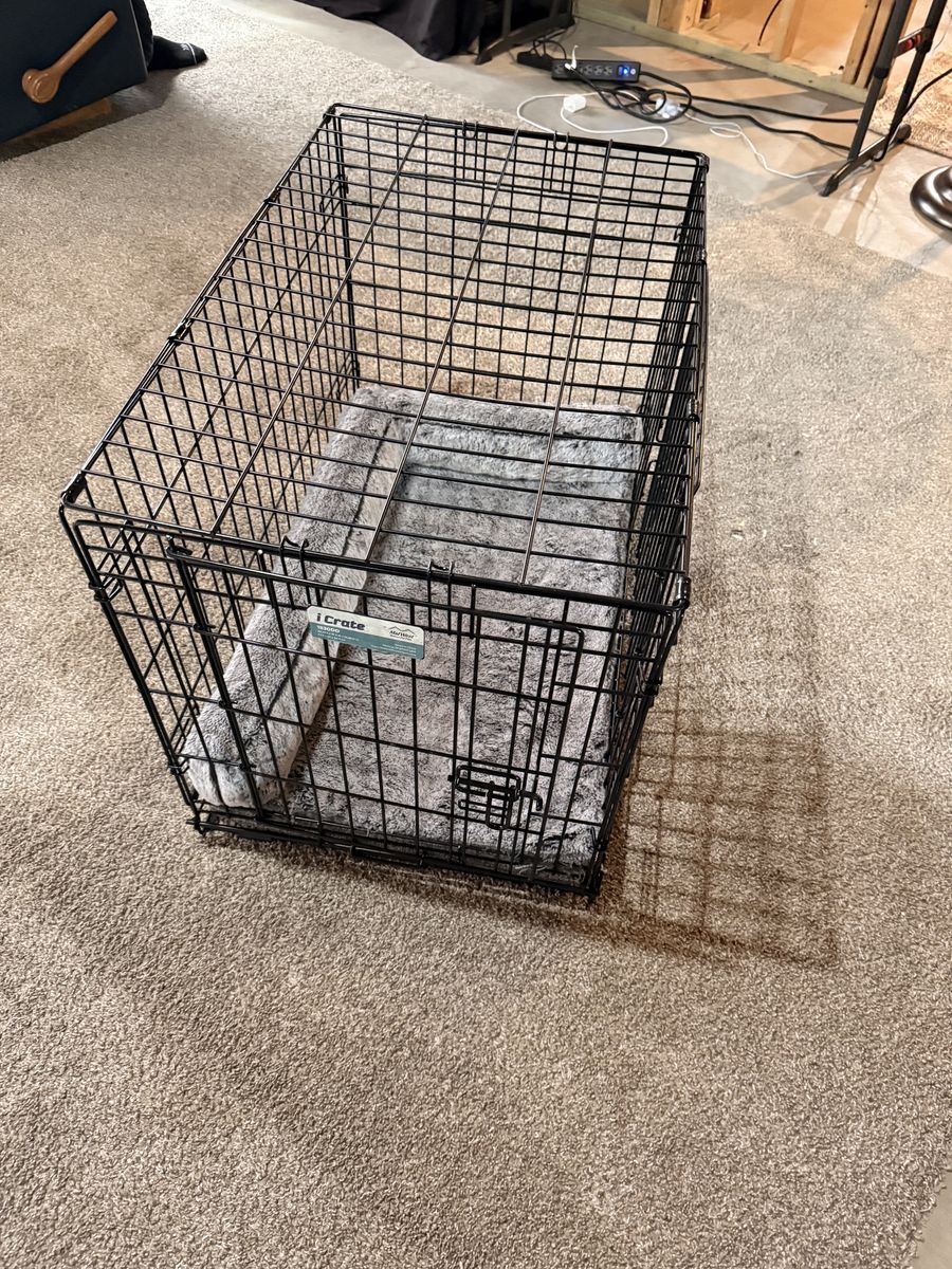 Medium Size dog crate. Bed included.