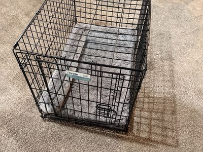 Medium Size dog crate. Bed included.