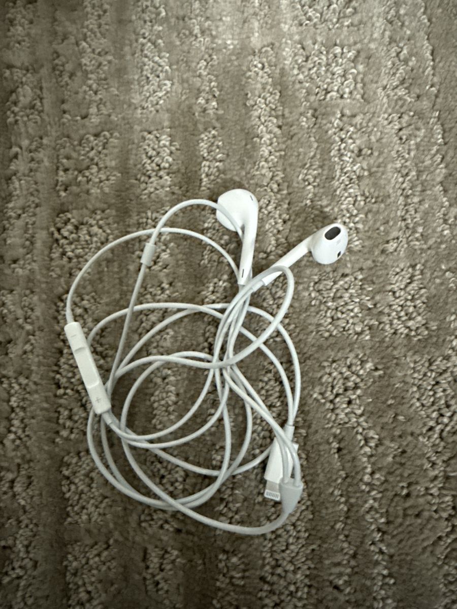 Apple earbuds headphones