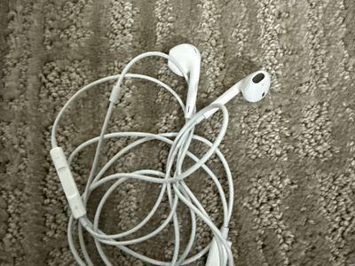 Apple earbuds headphones