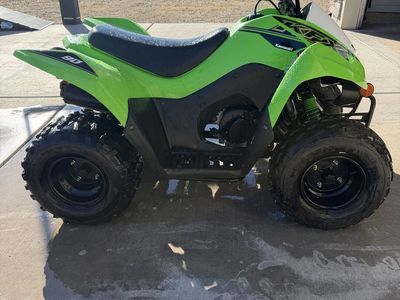 2021 Kawasaki KFX 90