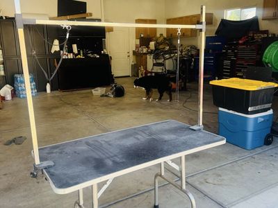 Grooming table