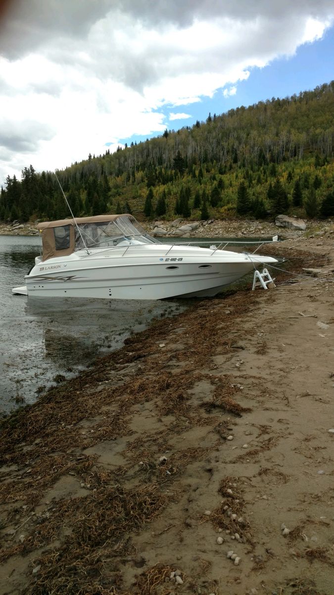 Boat 2000 Larson Cabrio 254