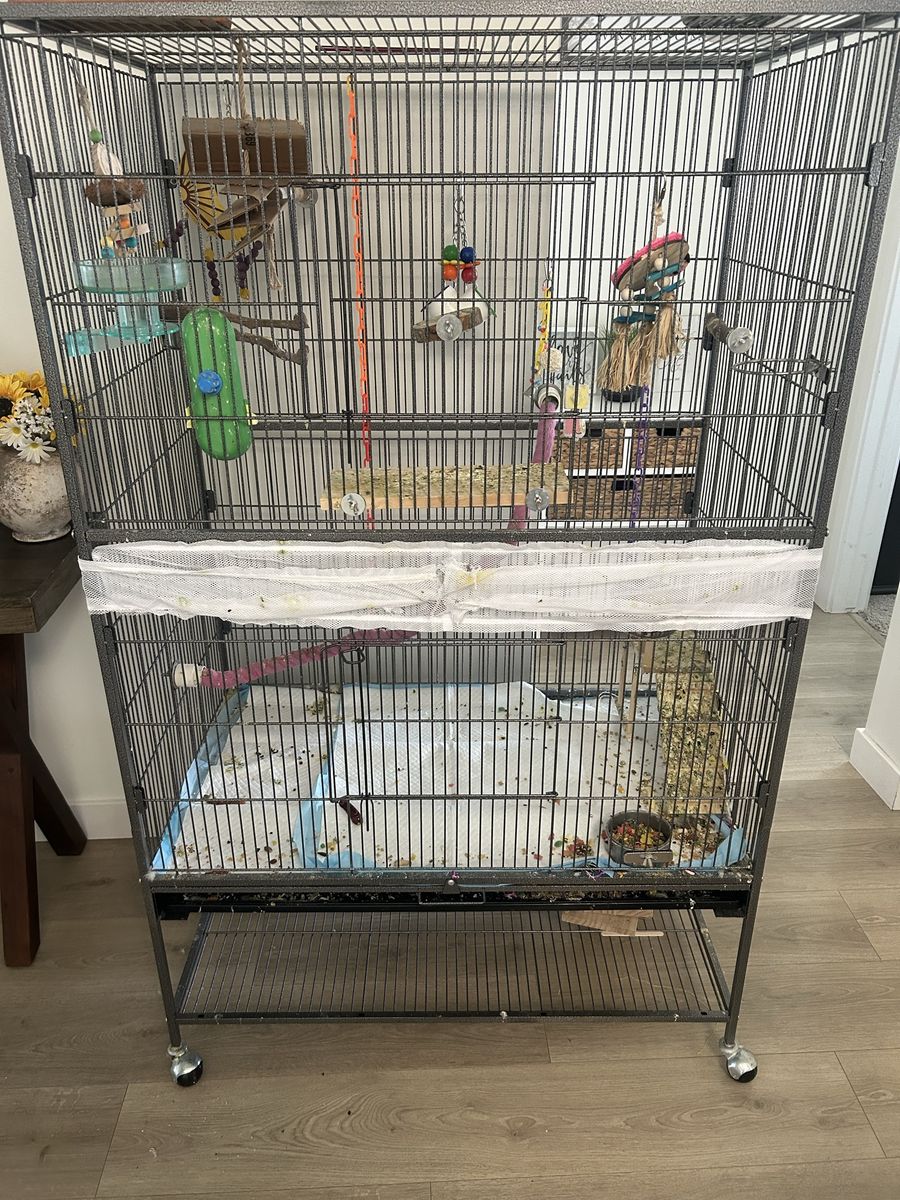 Large bird Cage 60x37x22