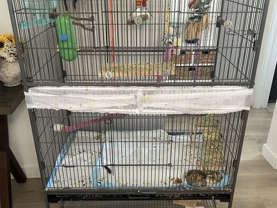 Large bird Cage 60x37x22