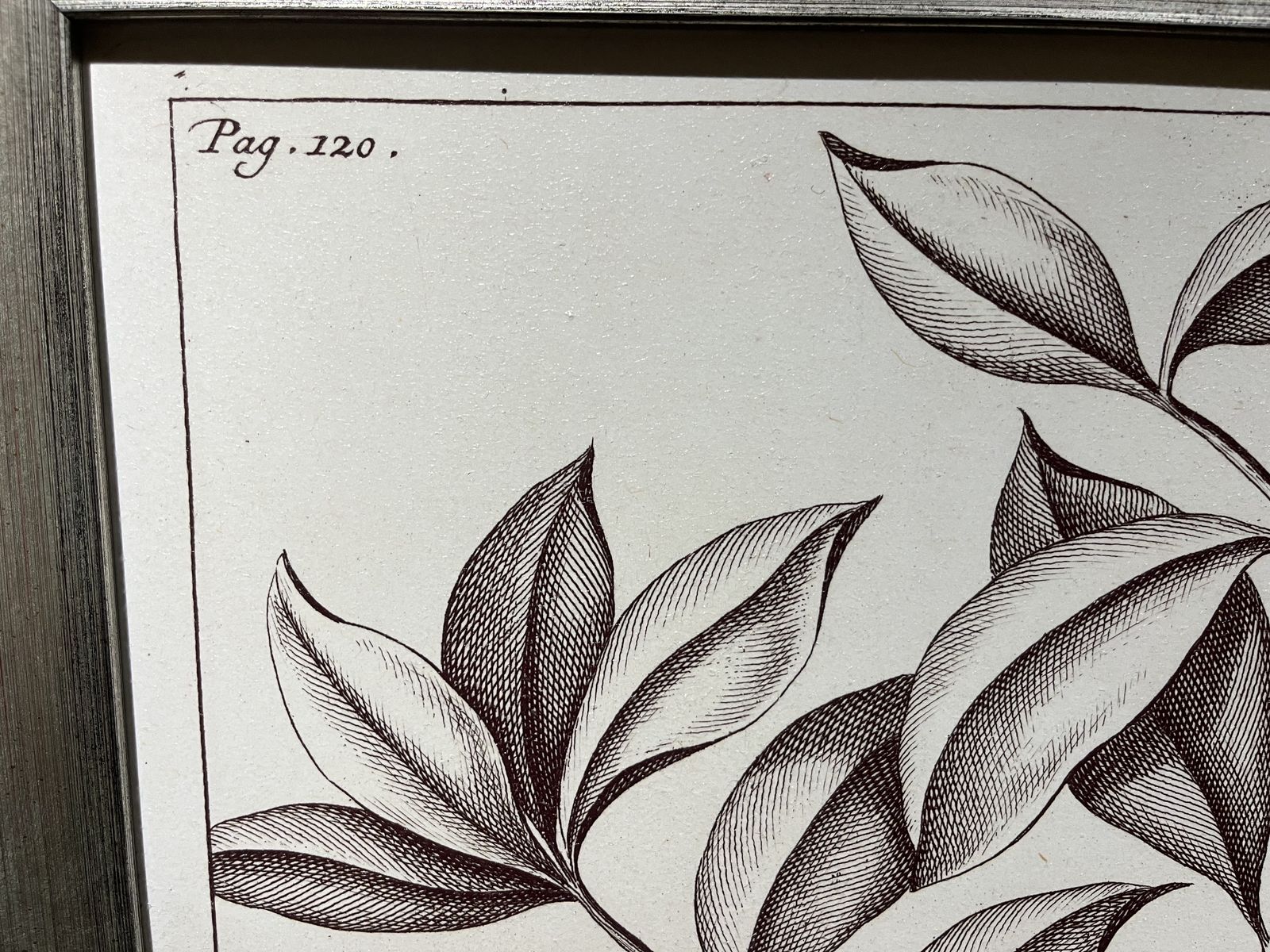 Main image 5