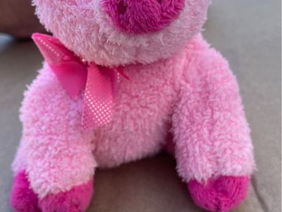 Early 2000’s late 90’s beanie babies