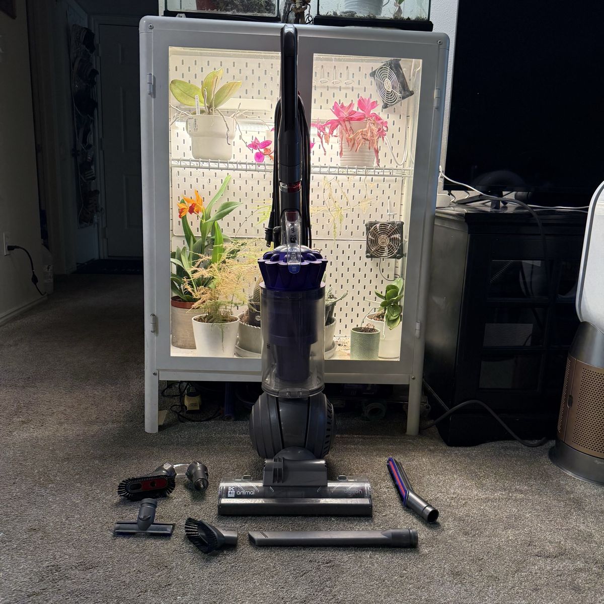 CLEAN Dyson dc41 animal vacuum