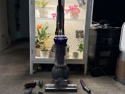 CLEAN Dyson dc41 animal vacuum