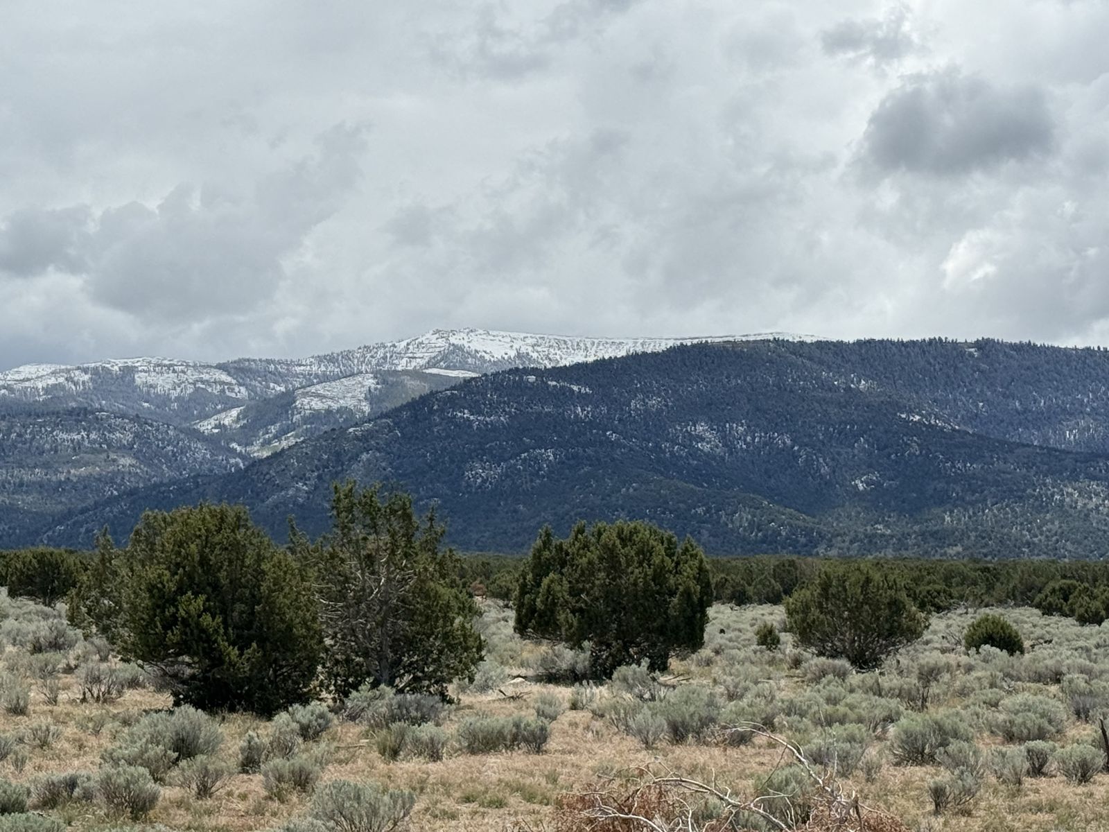 Main image 4