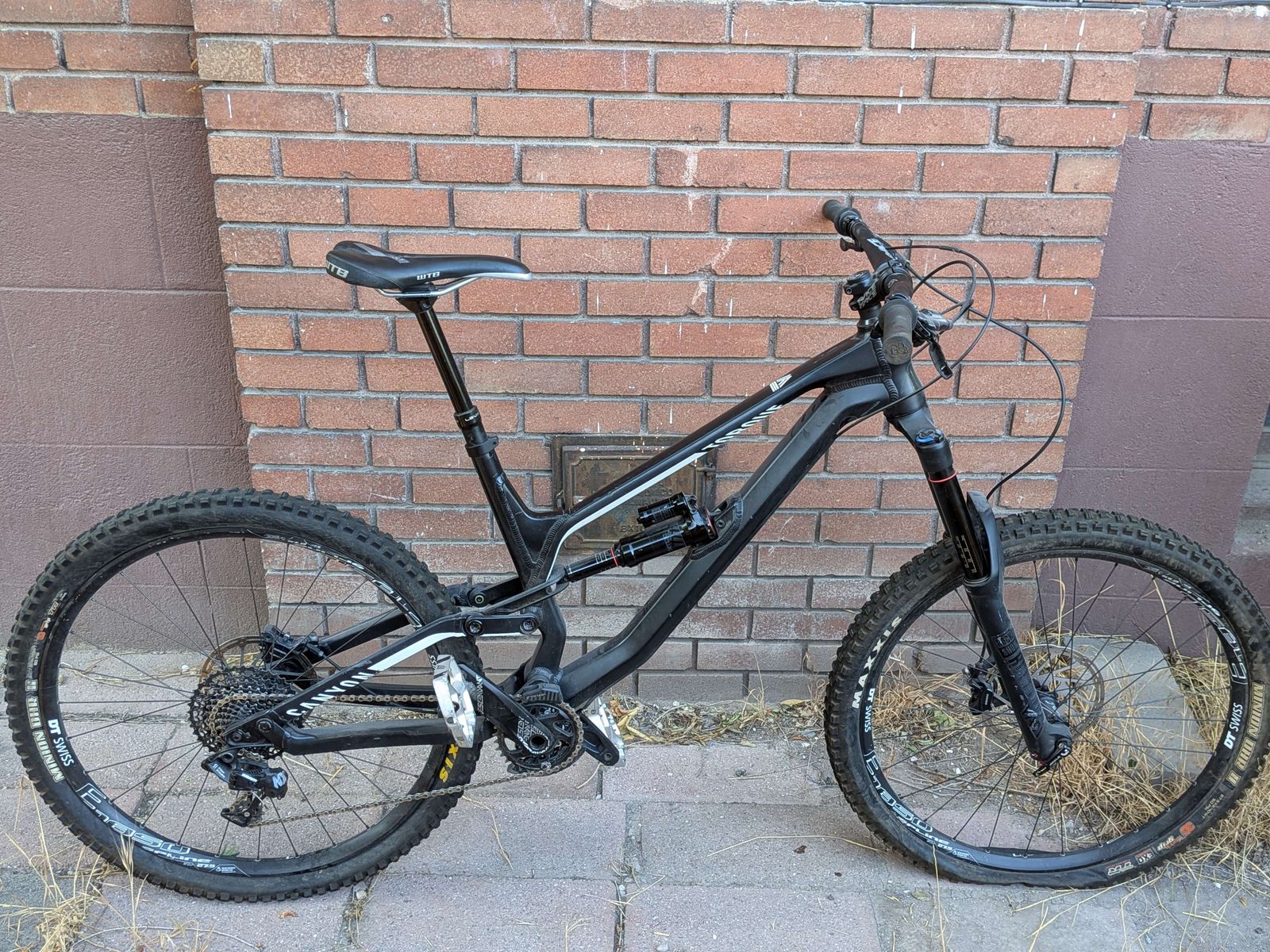 Canyon Torque AL 5.0 (Large)